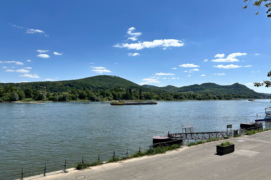 Ein Katzensprung zum Rhein